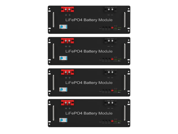 ESAUL 51.2V Rack Mount Lithium Battery Energy Storage Battery